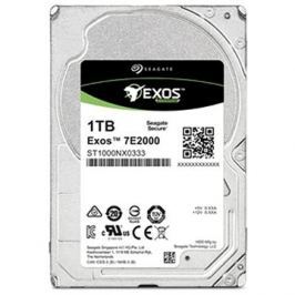 Seagate Exos 7E2000 1TB