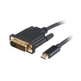 AKASA USB Type-C na DVI-D