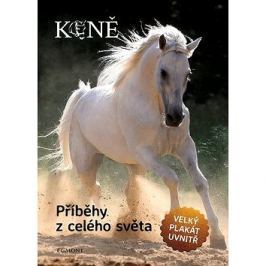 Koně Příběhy z celého světa: Velký plakát uvnitř