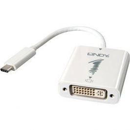OEM USB 3.1 (USB C) -> DVI
