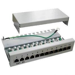 Datacom CAT5E 12 portů