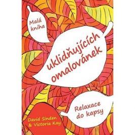 Malá kniha uklidňujících omalovánek: Relaxace do kapsy