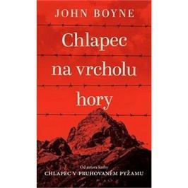 Chlapec na vrcholu hory