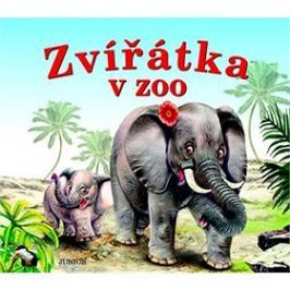 Zvířátka v zoo