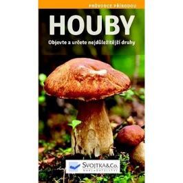 Houby: Objevte a určete nejdůležitější druhy