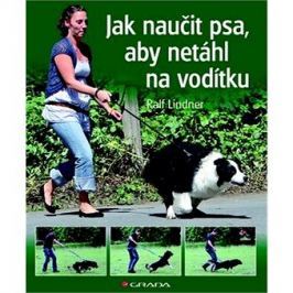 Jak naučit psa, aby netáhl na vodítku