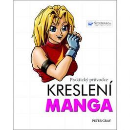 Kreslení Manga: Praktický průvodce