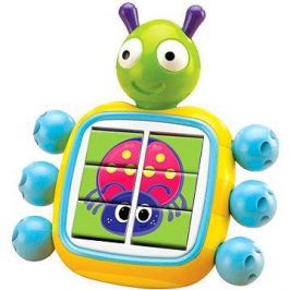 Puzzle bug
