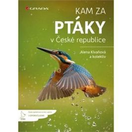 Kam za ptáky: v České republice