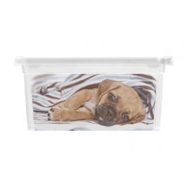KIS Puppy and Kitten 57492 Box - XXS