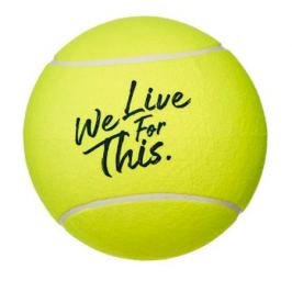 Tenisový míč Babolat Jumbo Ball French Open