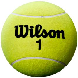 Tenisový míč Wilson Roland Garros 5